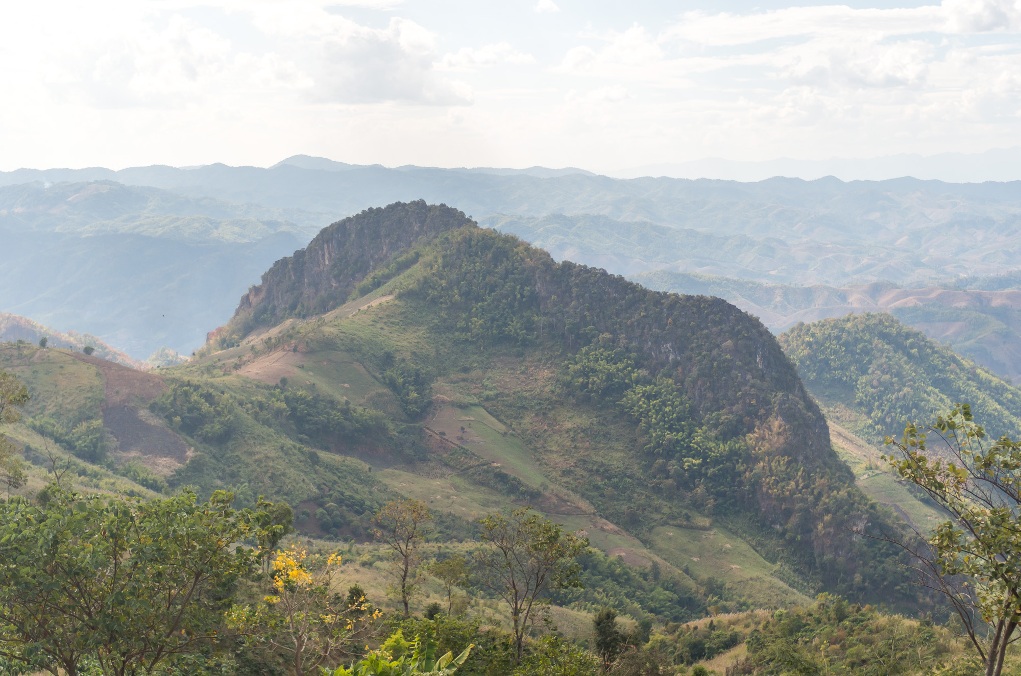 Pa Daeng